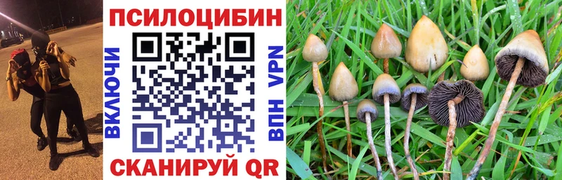 Псилоцибиновые грибы GOLDEN TEACHER  Воскресенск 